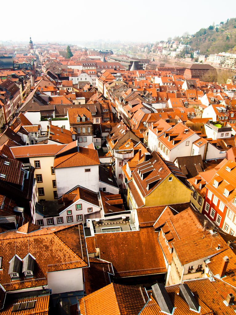 Heidelberg Cityscape